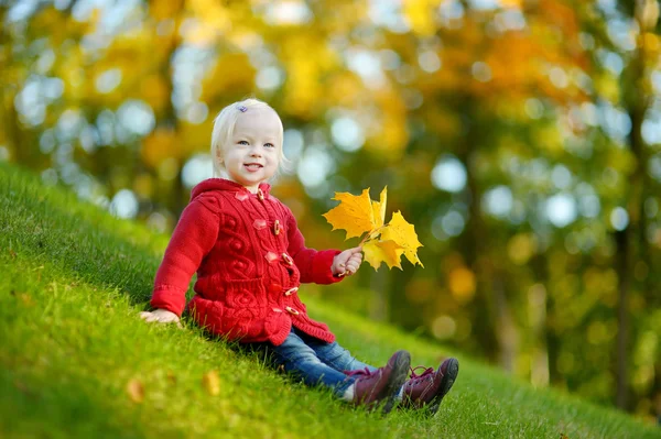 Imádnivaló baba lány portré őszi napon — Stock Fotó