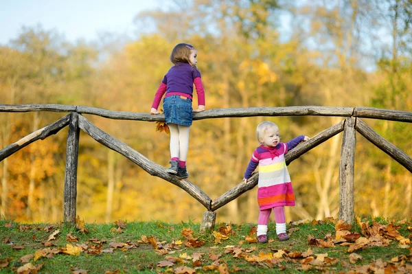 Twee kleine zusters plezier in herfst park — Stockfoto