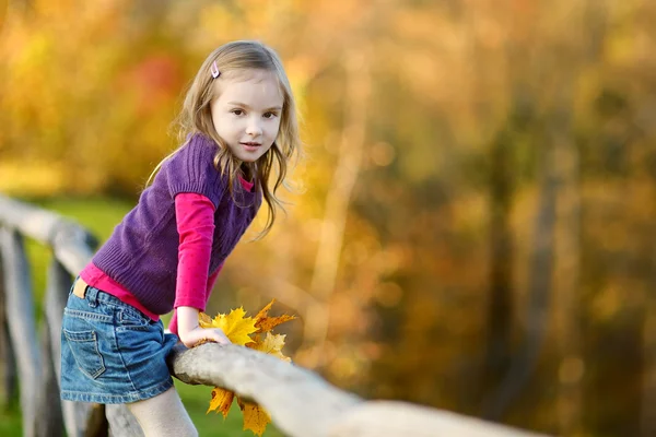 Bedårande liten tjej att ha kul på höstdag — Stockfoto