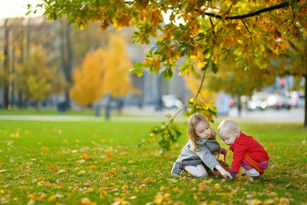 Kleine Mädchen sammeln Eicheln am Herbsttag — Stockfoto