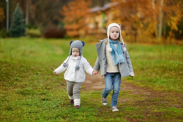 Duas irmãzinhas dando um passeio no final do outono — Fotografia de Stock