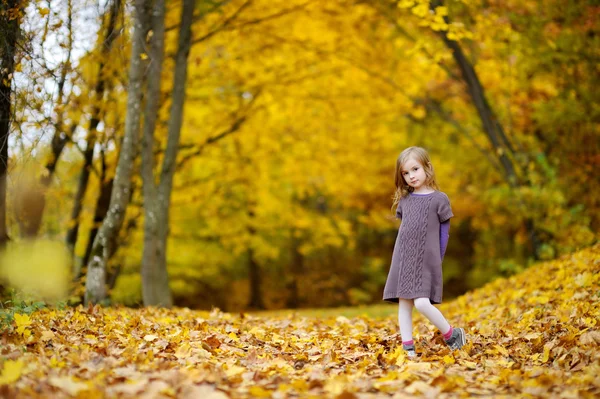 Schattig meisje plezier op herfstdag — Stockfoto