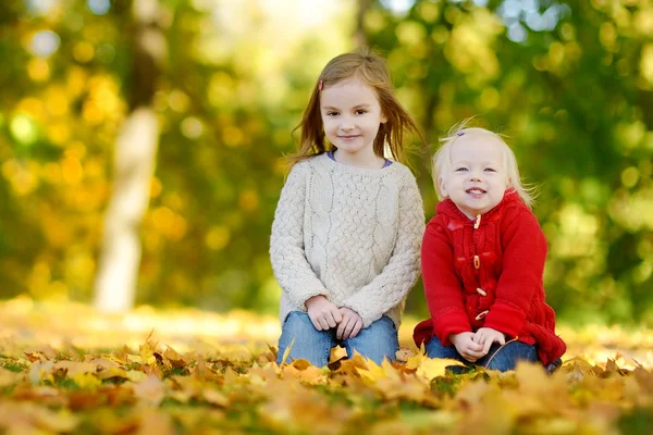 Twee kleine zusters plezier in herfst park — Stockfoto