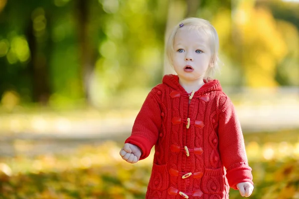 Retrato adorável menina criança no dia de outono — Fotografia de Stock