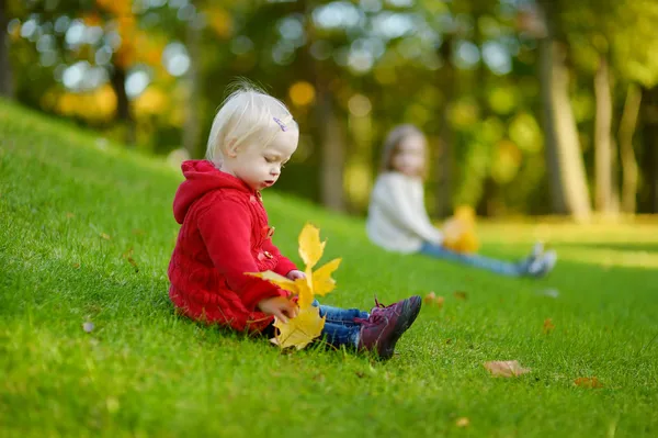 Schattig peuter meisje portret op herfstdag — Stockfoto