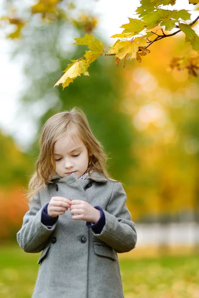Sevimli küçük kız sonbahar gününde eğleniyor — Stok fotoğraf
