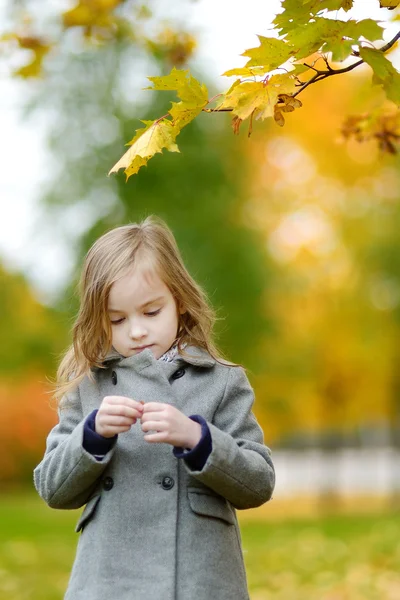 Adorable little girl having fun on autumn day — Stock Photo, Image