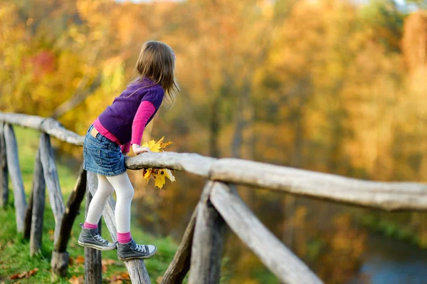 Aranyos kislány őszi napon szórakozás — Stock Fotó