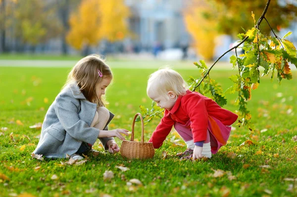 Küçük kızlar sonbahar gününde meşe palamutları toplamak — Stok fotoğraf