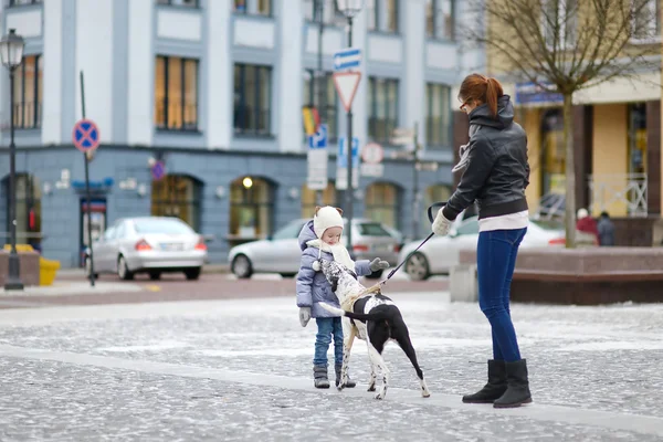 A girl met a dog — Stock Photo, Image