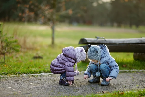 屋外で遊ぶ 2 人の姉妹 — ストック写真
