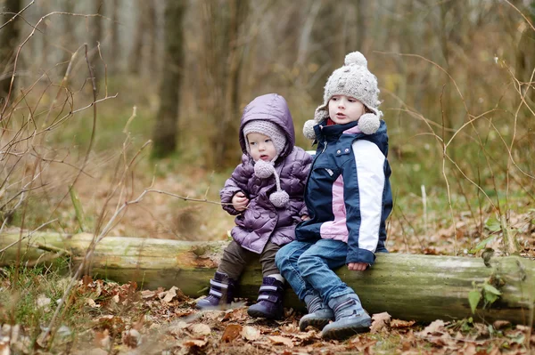 Two sisters sitting on a log — Stock Photo, Image