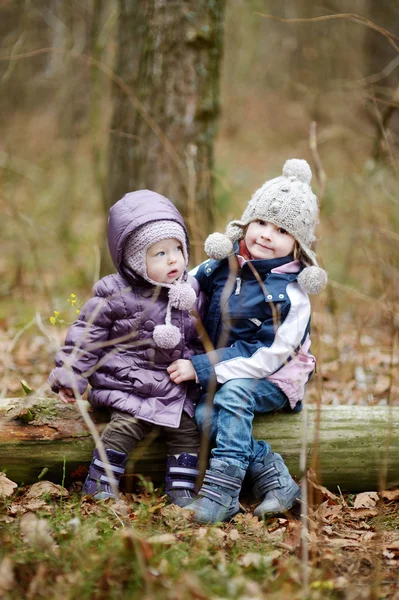 Two sisters sitting on a log — Stock Photo, Image