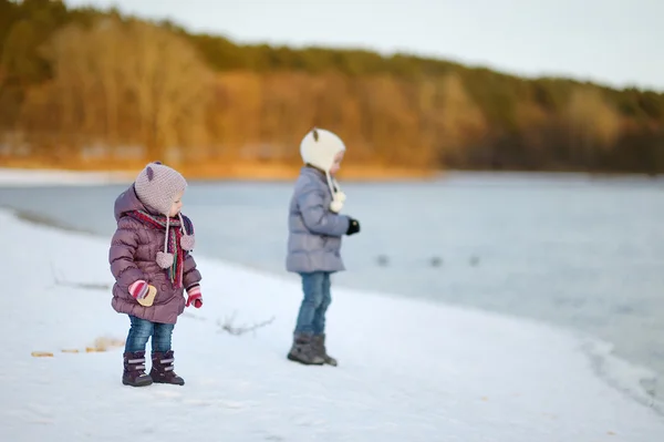 Nutrire le anatre in inverno — Foto Stock