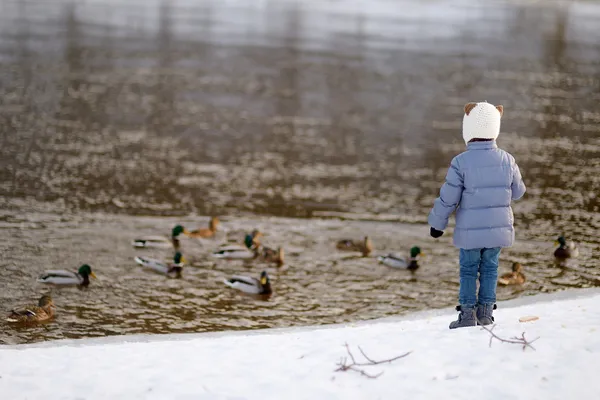 Little girl having fun on winter day — Stock Photo, Image