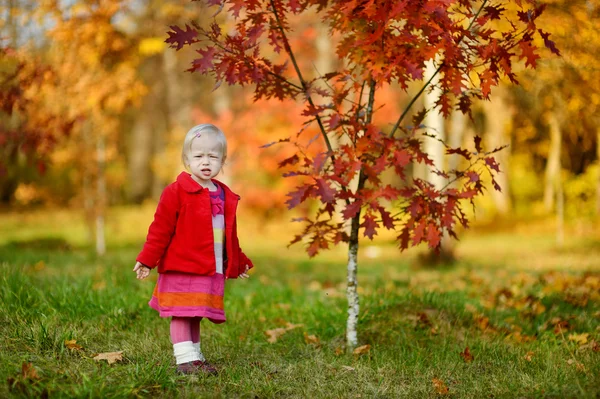 Adorable retrato de niña en el día de otoño — Foto de Stock