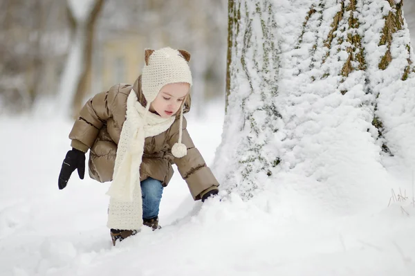 Meisje heeft plezier op winterdag — Stockfoto