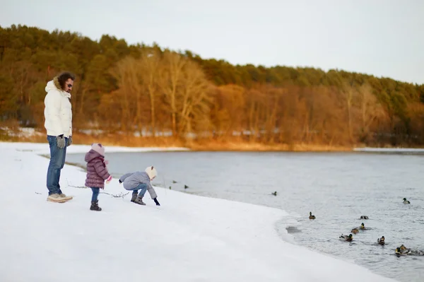 Nutrire le anatre in inverno — Foto Stock