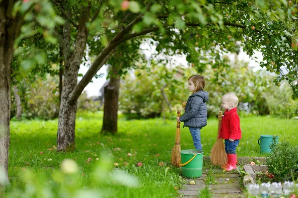 Två små flickor plocka äpplen i en trädgård — Stockfoto
