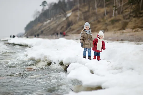 Two little sisters on a winter day — Stock Photo, Image
