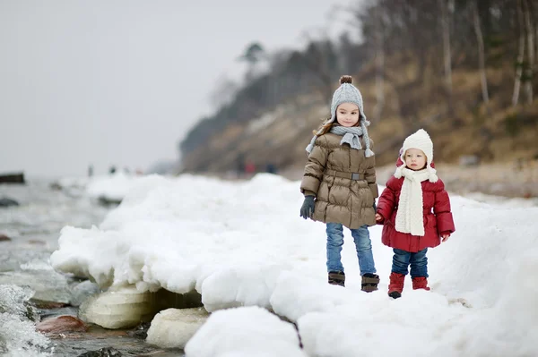 Twee kleine zusters op een winterdag — Stockfoto