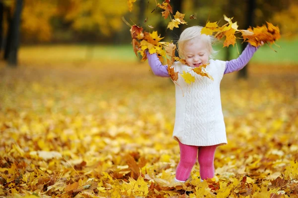 可爱的蹒跚学步的女孩画像上秋季的一天 免版税图库照片