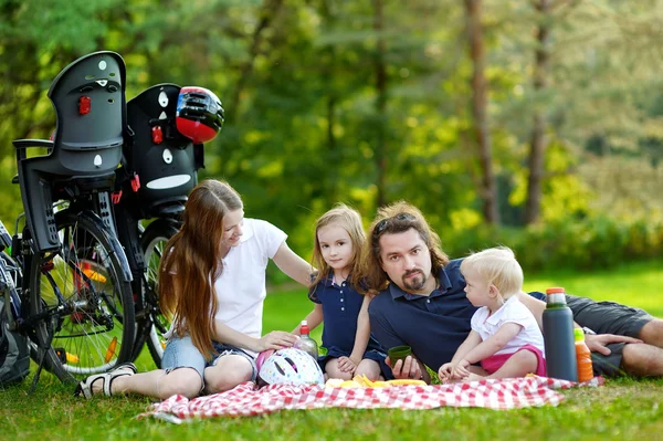 Família feliz de quatro fazendo um piquenique — Fotografia de Stock