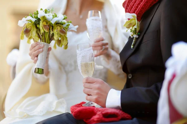 Noiva e noivo segurando copos de champanhe — Fotografia de Stock