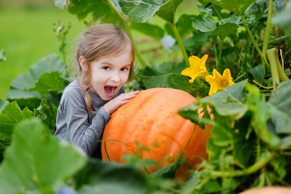 Cute little girl hugging a pumpkin — Stock Photo, Image