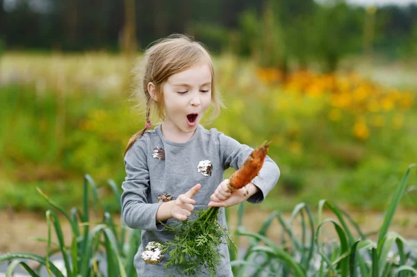 Adorabile bambina raccogliendo carote — Foto Stock