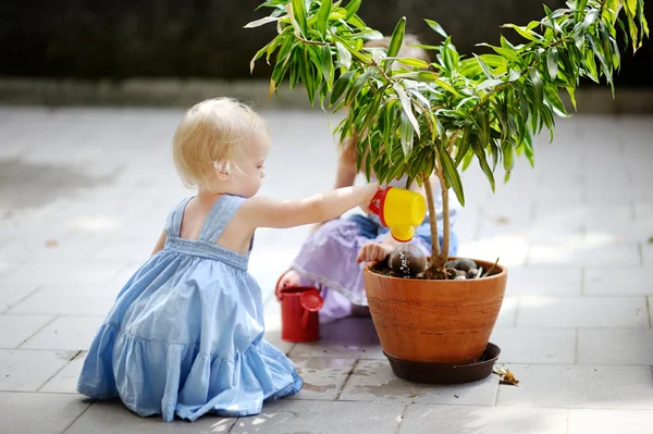 Милая маленькая девочка поливает растение — стоковое фото