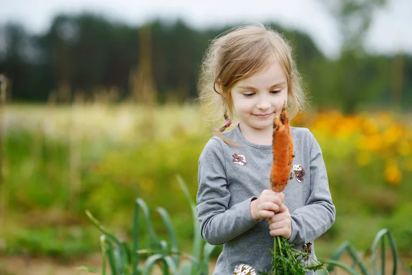 Очаровательная маленькая девочка собирает морковь — стоковое фото