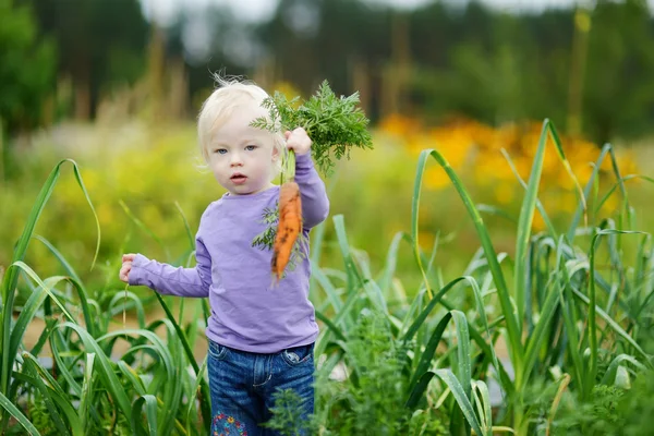 Gadis kecil yang manis memetik wortel — Stok Foto