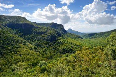 mauritius Adası tropik ormanlarda
