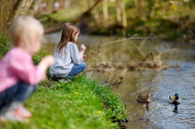ördek besleme kardeşler