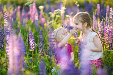 acı bakla alan kız