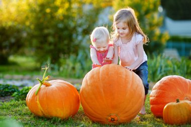Kabak ile oynayan kız