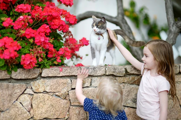 Dos hermanitas y un gato — Foto de Stock