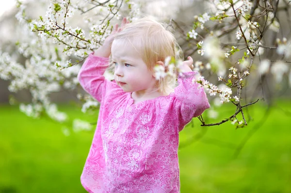 Liten flicka i blommande trädgård — Stockfoto