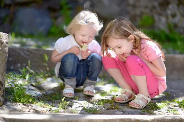 Two   little sisters watching   bug — Stock Photo, Image