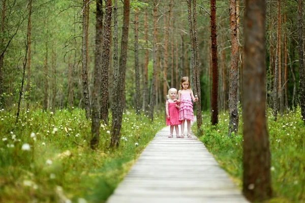 Systrar i skogen — Stockfoto