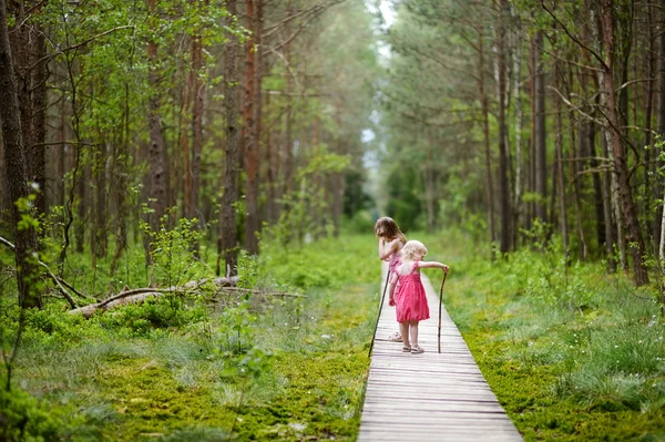 Kız ormanda — Stok fotoğraf
