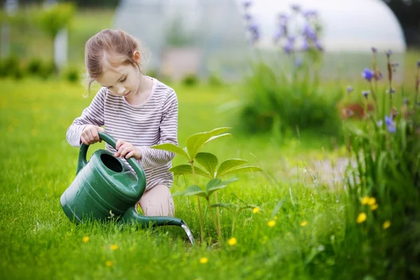 Kleines Mädchen, das Pflanzen gießt — Stockfoto