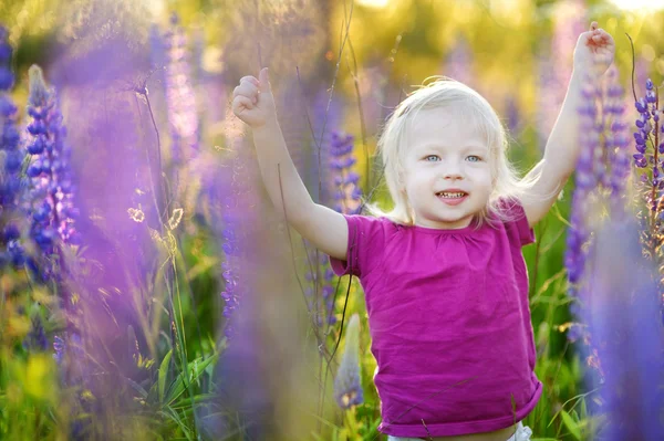 Girl in lupine field — Stock Photo, Image