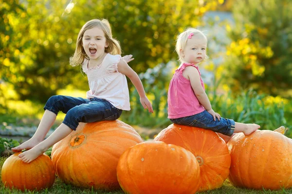 Hermanas sentadas en calabazas — Foto de Stock