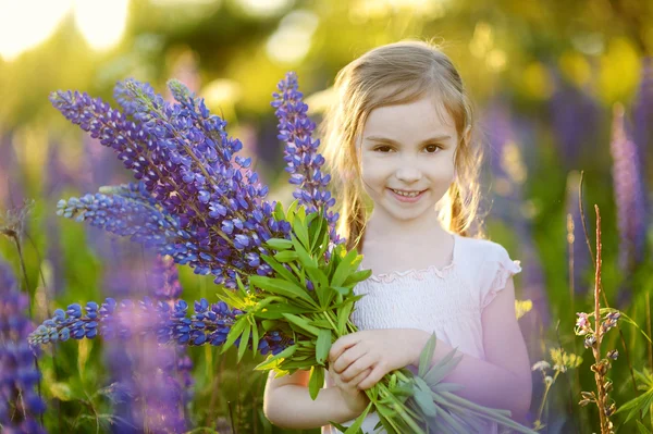 Girl in lupine field — Stock Photo, Image