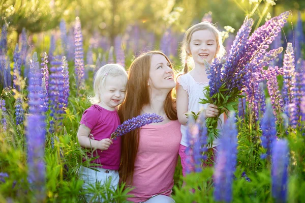 Zusters en moeder in lupine veld — Stockfoto