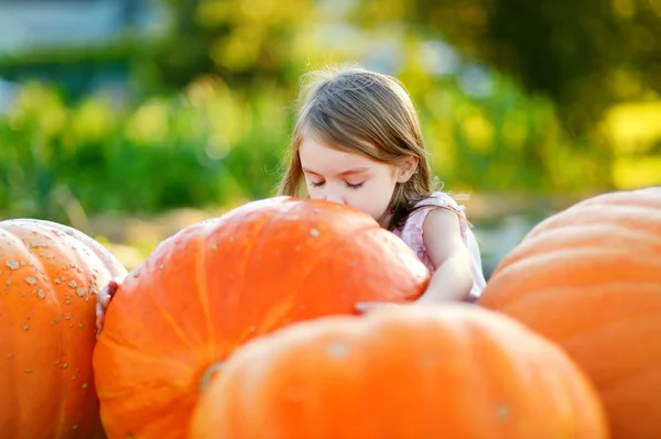 Girl embracing pumpkin — Stock Photo, Image