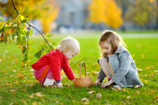 Sisters gathering acorns — Stock Photo, Image