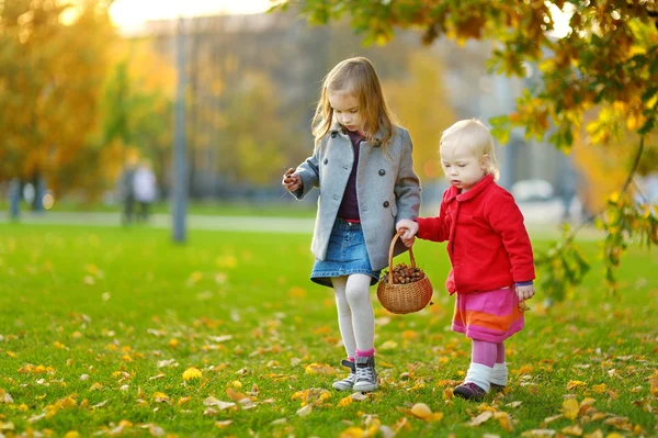 Hermanas recogiendo bellotas — Foto de Stock